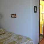 Rural La Peregrina