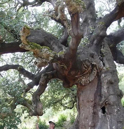 Rural La Peregrina Casa de Campo