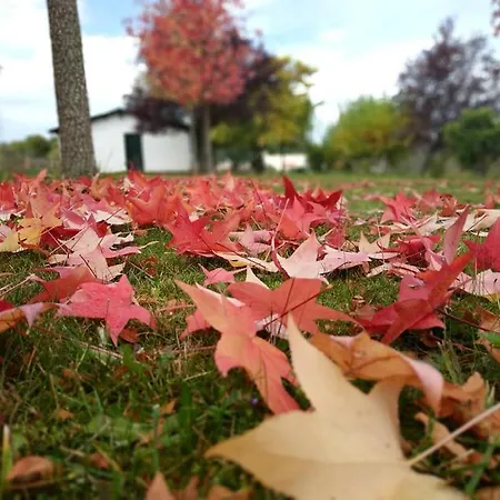 Rural La Peregrina *