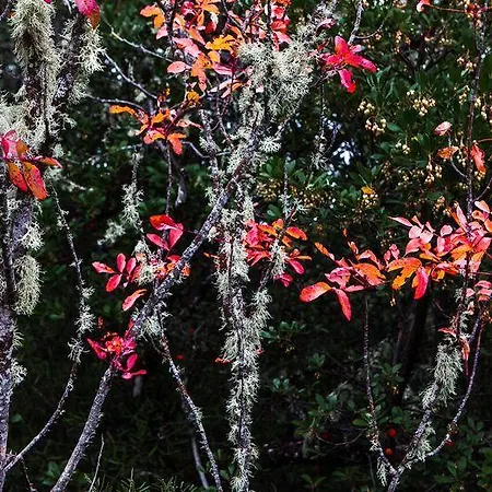 カントリーハウス ルーラル ラ ペレグリーナ *