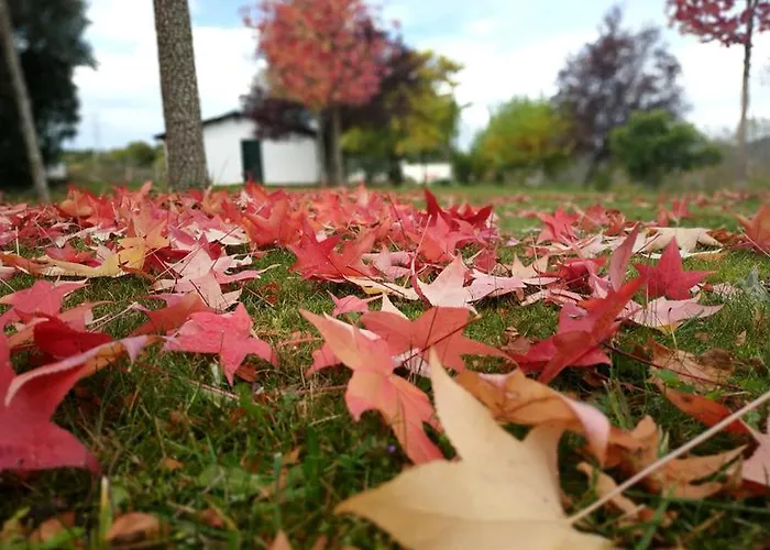 Rural La Peregrina *