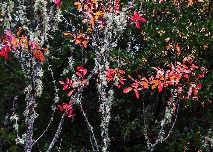 Landsted Rural La Peregrina *